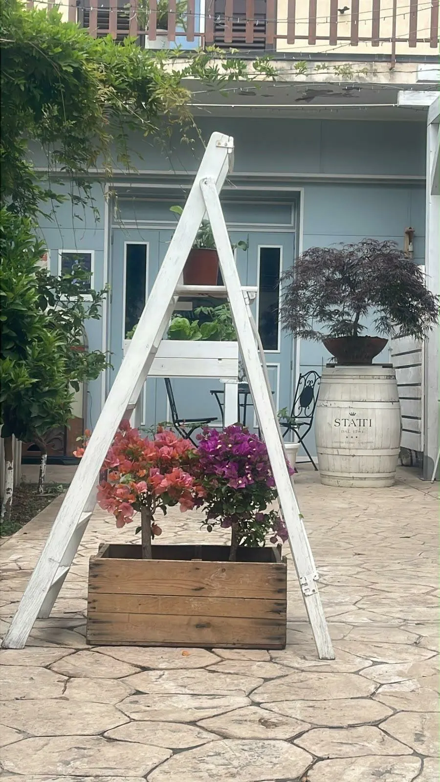 Il cortile con fiori e piante
